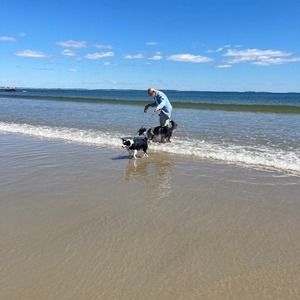 Meet your Posher, Barbara